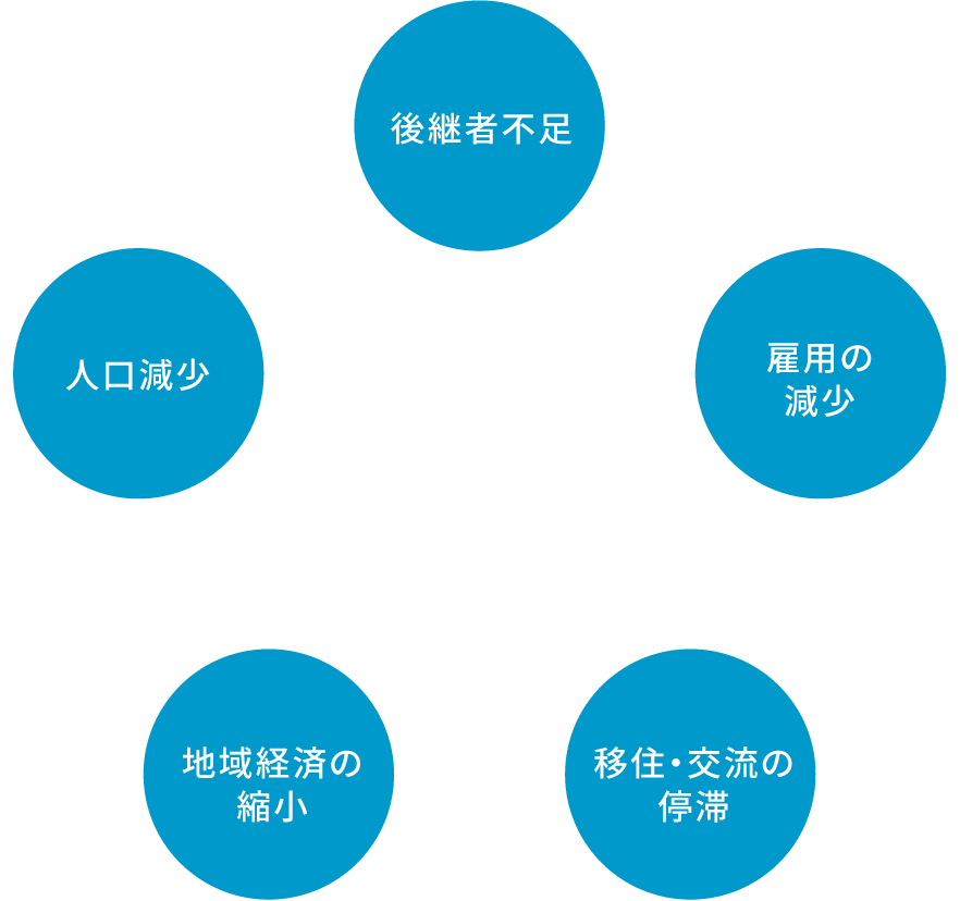 地域が抱える課題 後継者不足 雇用の減少 移住・交流の停滞 地域経済の縮小 人口減少