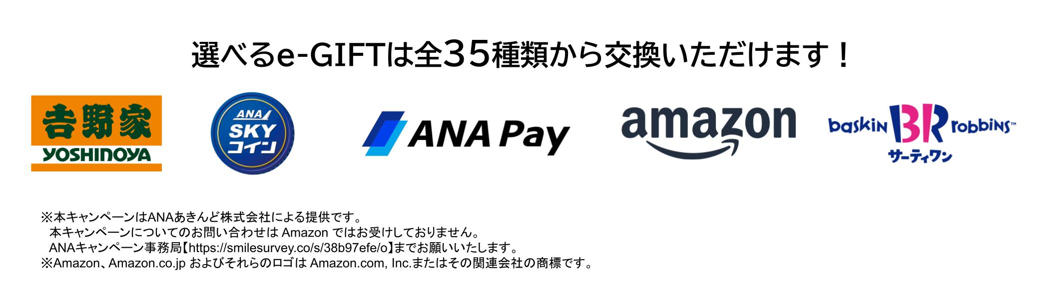 新規登録者限定！「ANAのふるさと応援ダブルキャンペーン」 | ANAの二地域居住 BLUE SKY LIFE | 地域創生事業 |  ANAあきんど株式会社